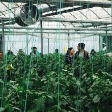 家具 生活空间的灵魂与艺术