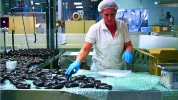 阿德莱德一日游 山顶瞭望台、野生动物园、德国村、黑氏巧克力与格雷尔海滩之旅