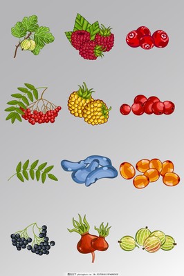 一组精美的水果蔬菜矢量图素材及其应用