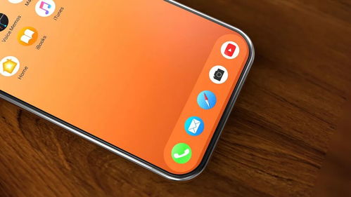 iPhone XR 2 正面曝光 真全面屏设计或将引领智能手机新潮流